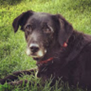 Meet your Posher, Sylvia